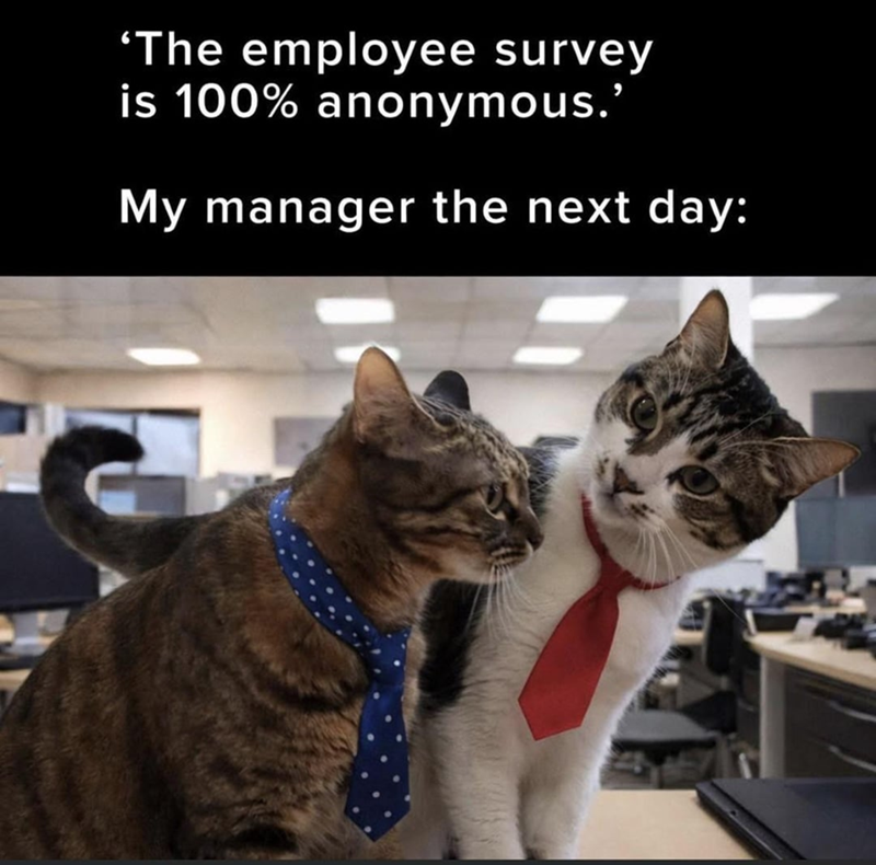 'The employee survey is 100% anonymous.' My manager the next day:
