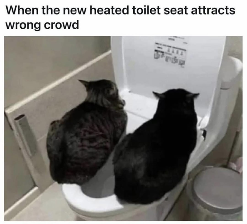 When the new heated toilet seat attracts wrong crowd
