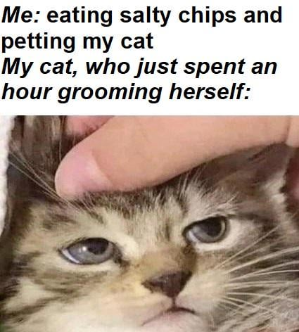 Me: eating salty chips and petting my cat My cat, who just spent an hour grooming herself: