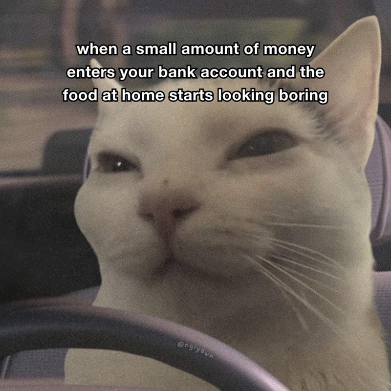 when a small amount of money enters your bank account and the food at home starts looking boring @ngiyawn