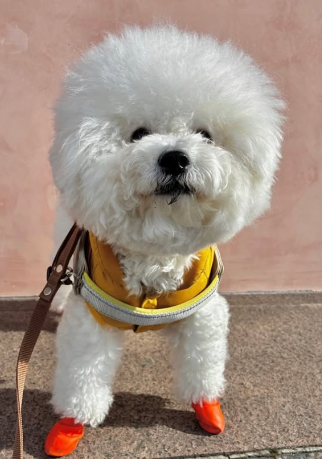 Cheezburger Image 10620254464