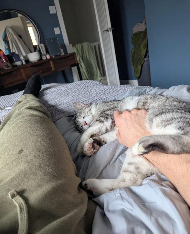 Cheezburger Image 10620260096