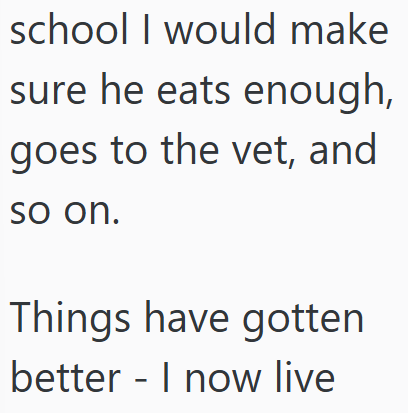 school I would make sure he eats enough, goes to the vet, and so on. Things have gotten better I now live -