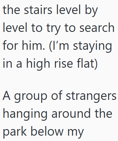 the stairs level by level to try to search for him. (I'm staying in a high rise flat) A group of strangers hanging around the park below my