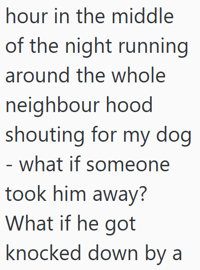 hour in the middle of the night running around the whole neighbour hood shouting for my dog - what if someone took him away? What if he got knocked down by a