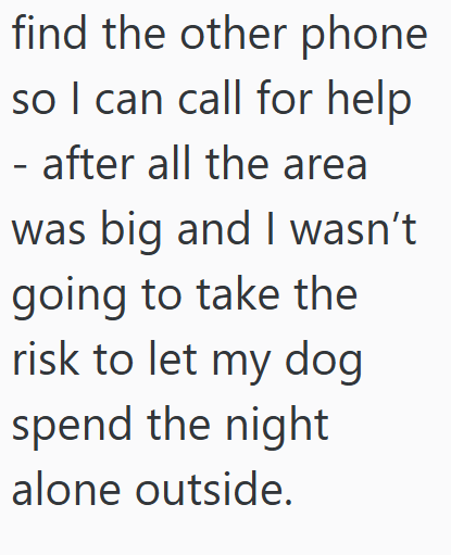 find the other phone so I can call for help - after all the area was big and I wasn't going to take the risk to let my dog spend the night alone outside.