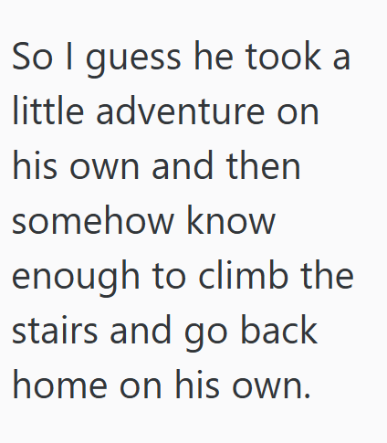 So I guess he took a little adventure on his own and then somehow know enough to climb the stairs and go back home on his own.