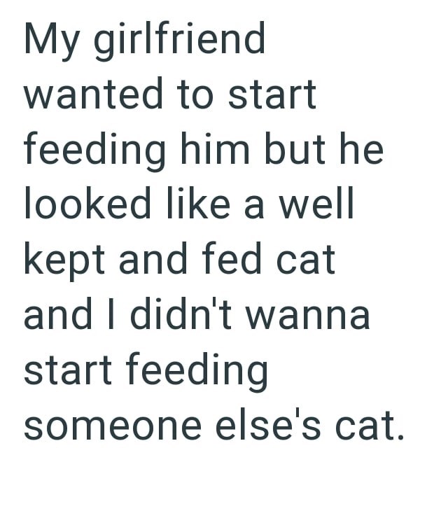 My girlfriend wanted to start feeding him but he looked like a well kept and fed cat and I didn't wanna start feeding someone else's cat.