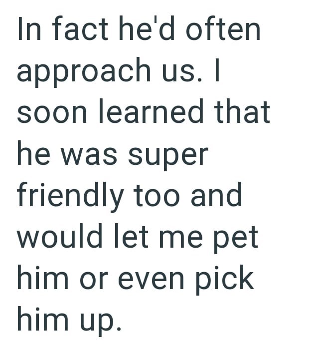 In fact he'd often approach us. I soon learned that he was super friendly too and would let me pet him or even pick him up.