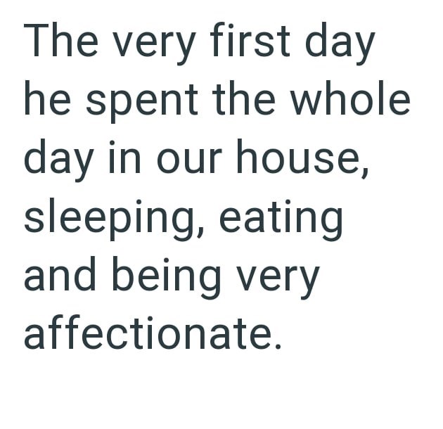 The very first day he spent the whole day in our house, sleeping, eating and being very affectionate.