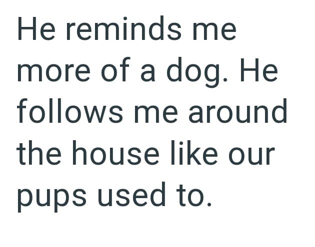 He reminds me more of a dog. He follows me around the house like our pups used to.