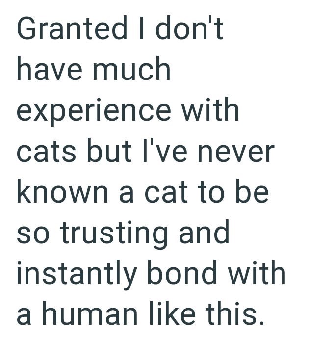 Granted I don't have much experience with cats but I've never known a cat to be so trusting and instantly bond with a human like this.