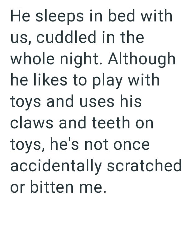 He sleeps in bed with us, cuddled in the whole night. Although he likes to play with toys and uses his claws and teeth on toys, he's not once accidentally scratched or bitten me.