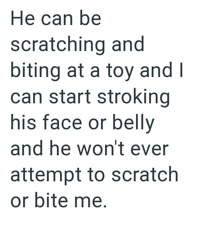 He can be scratching and biting at a toy and I can start stroking his face or belly and he won't ever attempt to scratch or bite me.