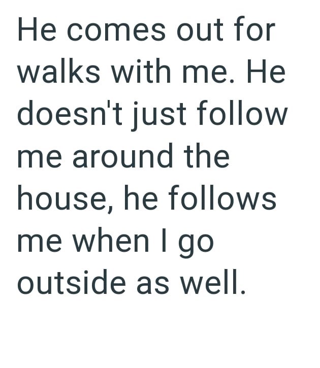 He comes out for walks with me. He doesn't just follow me around the house, he follows me when I go outside as well.