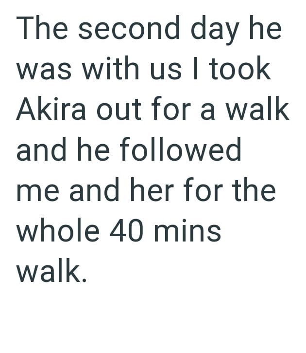 The second day he was with us I took Akira out for a walk and he followed me and her for the whole 40 mins walk.