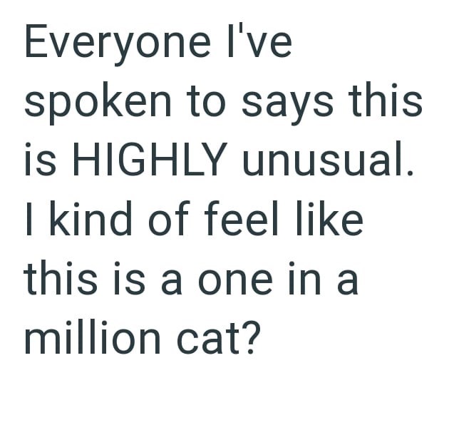 Everyone I've spoken to says this is HIGHLY unusual. I kind of feel like this is a one in a million cat?