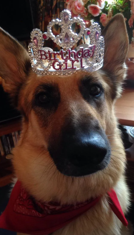 Birthday Gill 01000000