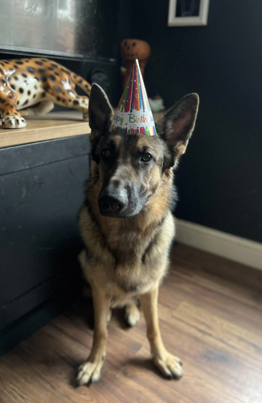 py Birth