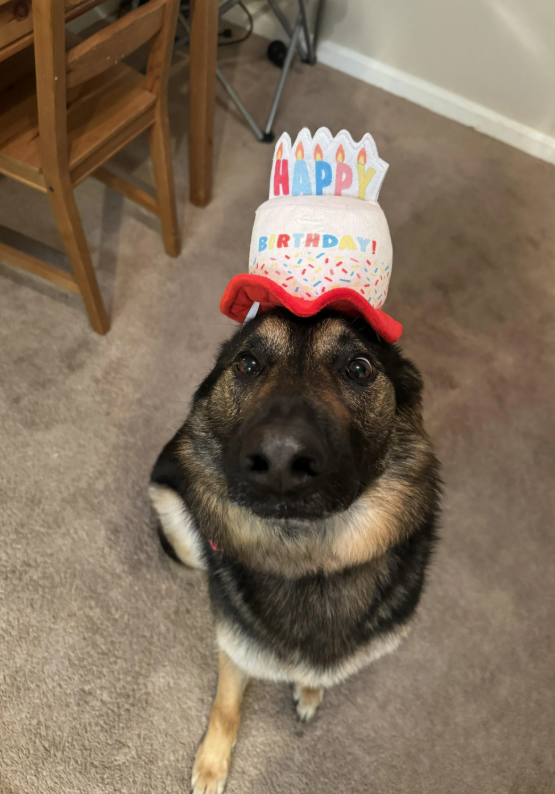 HAPPY BIRTHDAY!