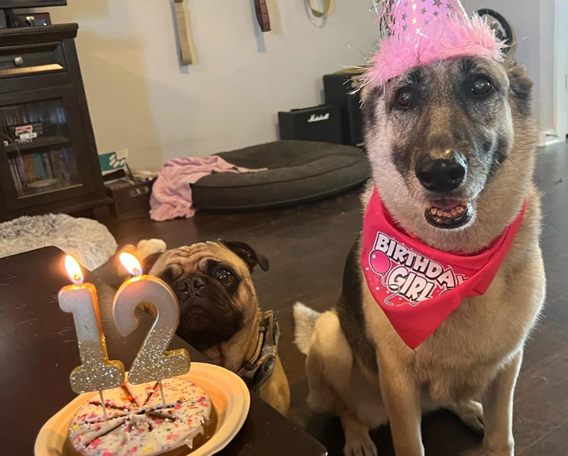 BIRTHDA GIRL