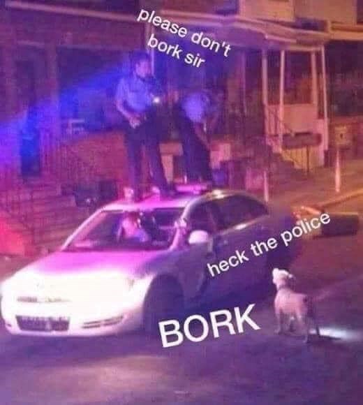 please don't bork sir heck the police BORK