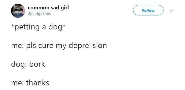 common sad girl @sadgirlkms *petting a dog* me: pls cure my depre s on dog: bork me: thanks Follow