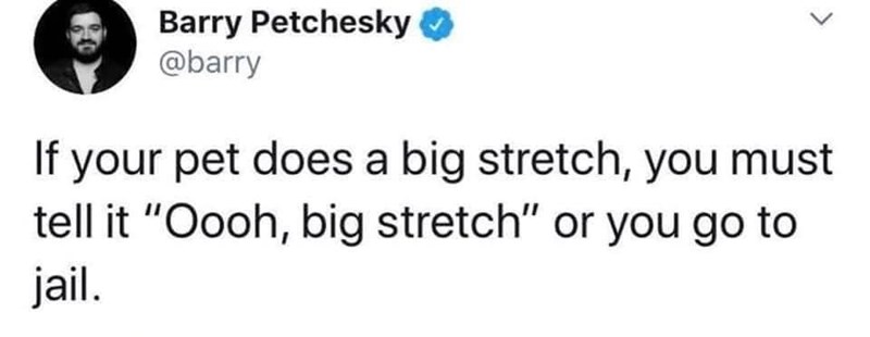 Barry Petchesky ✔ @barry If your pet does a big stretch, you must tell it "Oooh, big stretch" or you go to jail.
