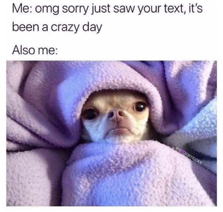 Me: omg sorry just saw your text, it's been a crazy day Also me: SCKMYKICKS