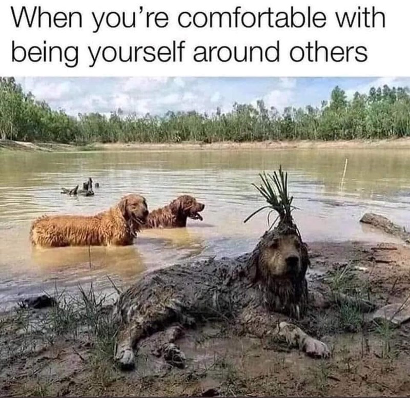 When you're comfortable with being yourself around others.