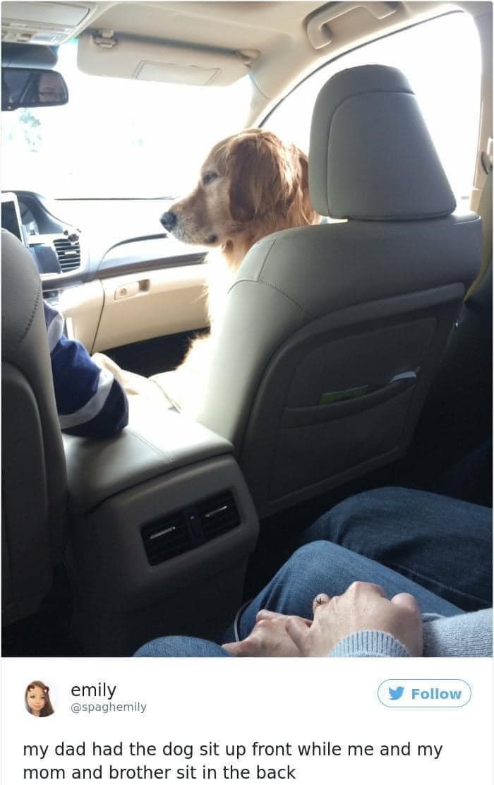 emily @spaghemily Follow my dad had the dog sit up front while me and my mom and brother sit in the back
