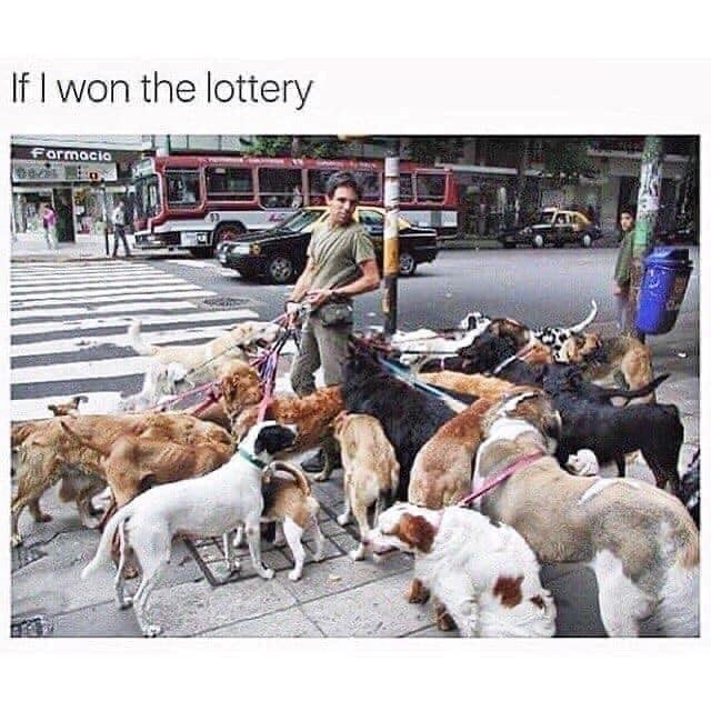 If I won the lottery Formacio