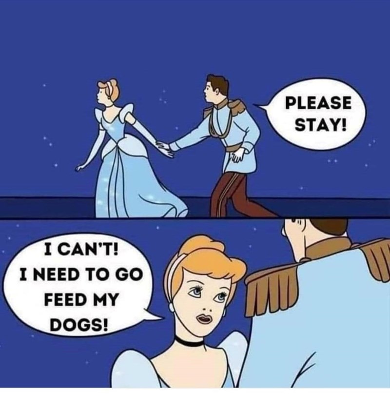 I CAN'T! I NEED TO GO FEED MY DOGS! PLEASE STAY!