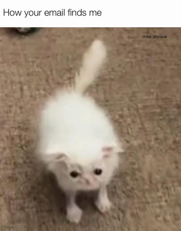 How your email finds me @the_pizzacat