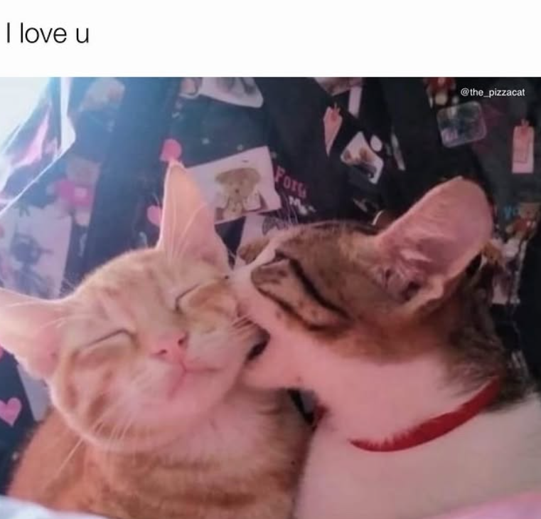 I love u For @the_pizzacat