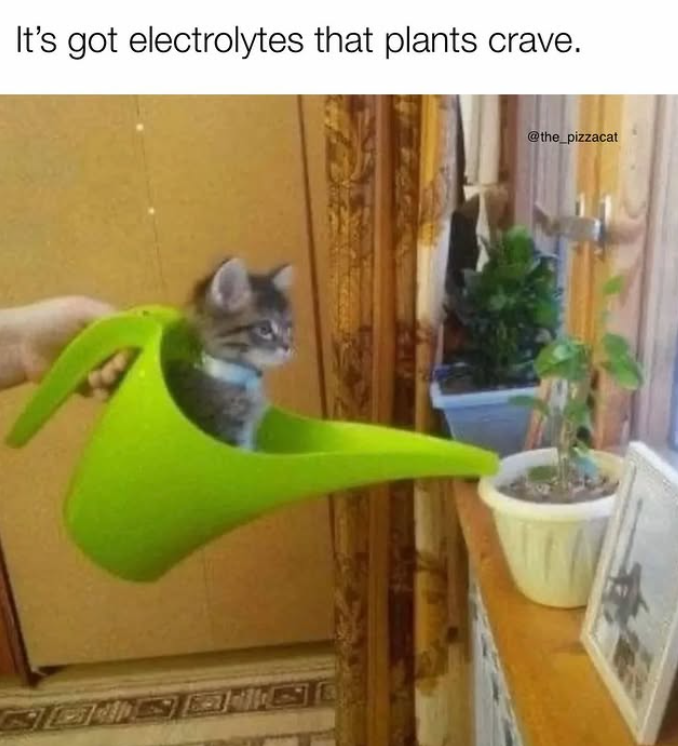 It's got electrolytes that plants crave. @the_pizzacat