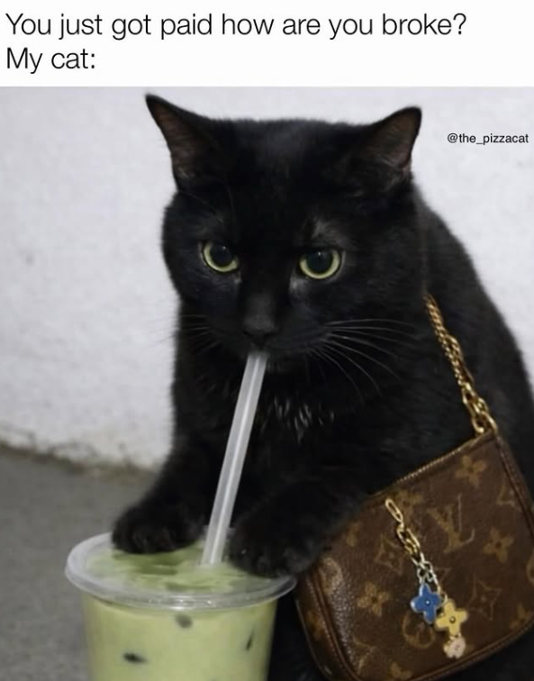 You just got paid how are you broke? My cat: @the_pizzacat