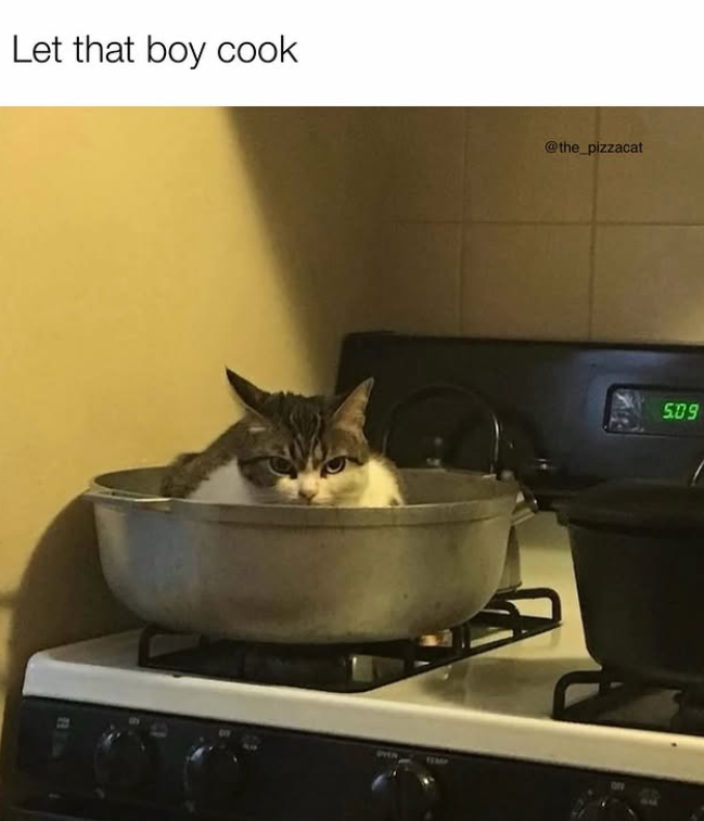 Let that boy cook B @the_pizzacat TEMP 5.09