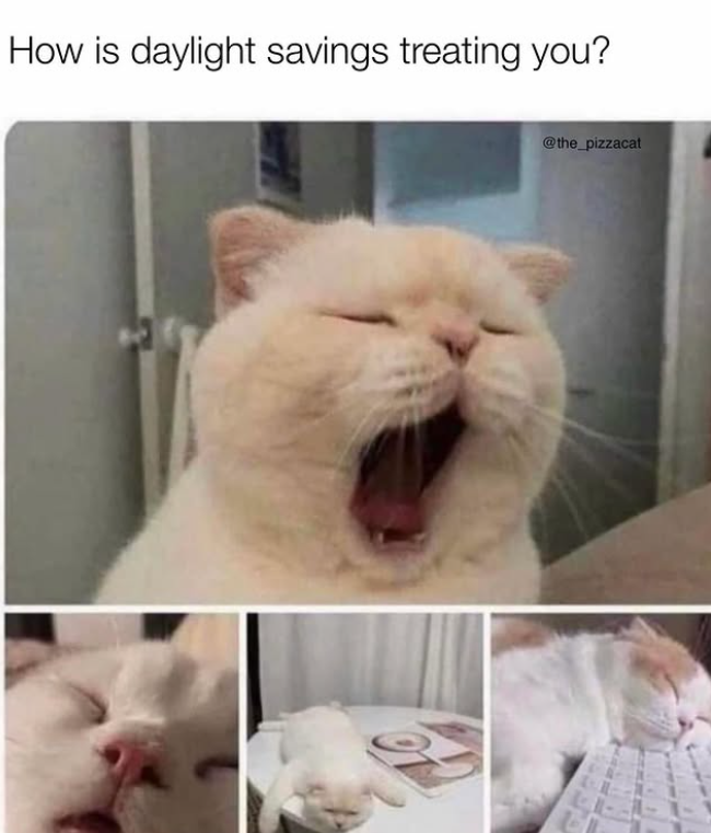 How is daylight savings treating you? @the_pizzacat