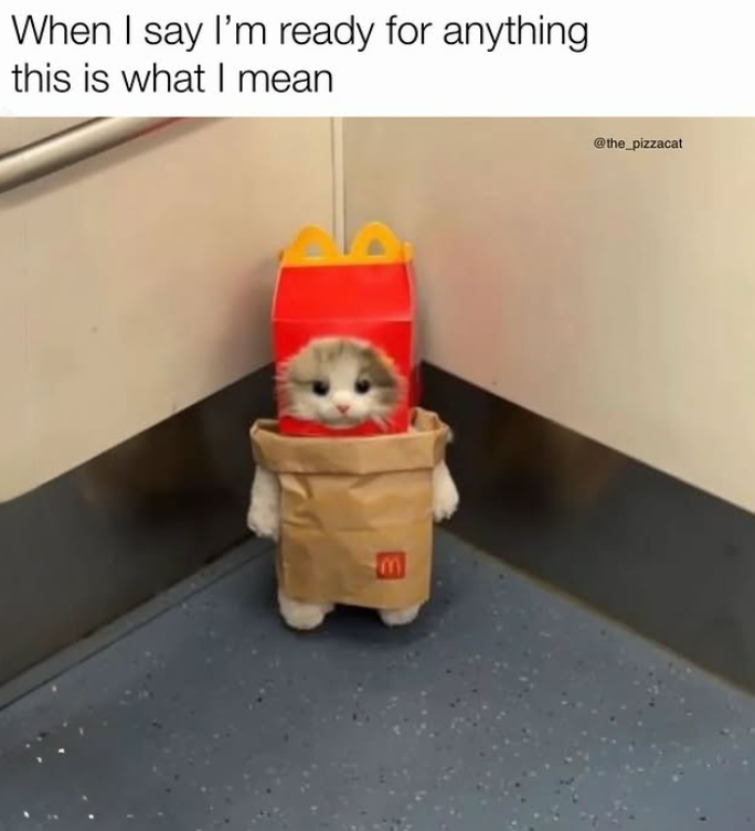 When I say I'm ready for anything this is what I mean @the_pizzacat E