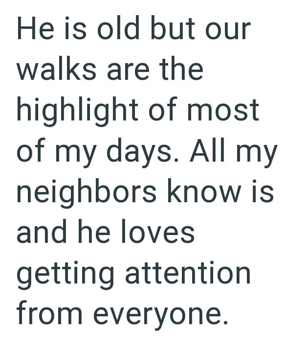 He is old but our walks are the highlight of most of my days. All my neighbors know is and he loves getting attention from everyone.
