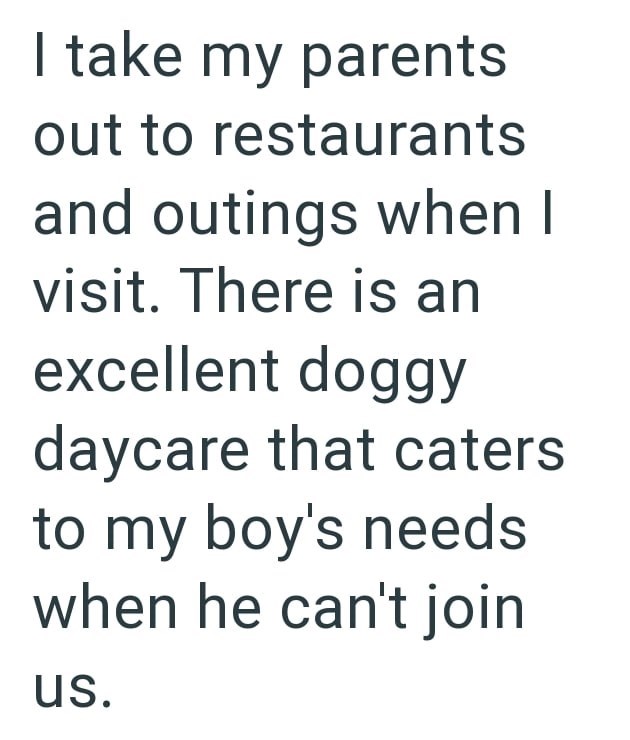 I take my parents out to restaurants and outings when I visit. There is an excellent doggy daycare that caters to my boy's needs when he can't join us.