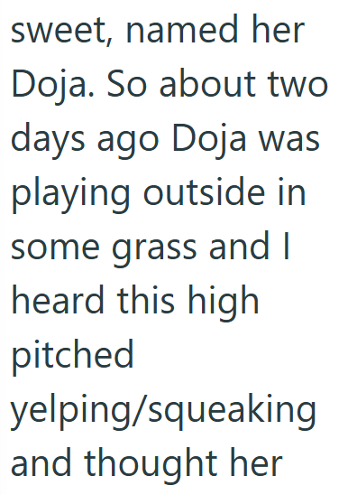 sweet, named her Doja. So about two days ago Doja was playing outside in some grass and I heard this high pitched yelping/squeaking and thought her