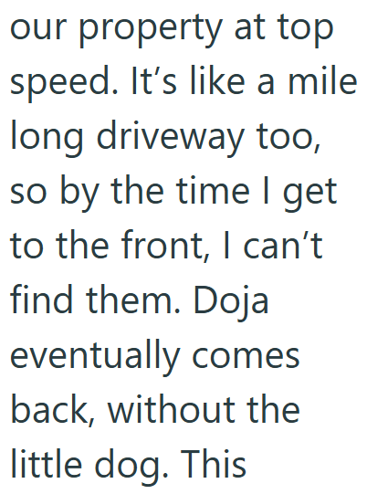 our property at top speed. It's like a mile long driveway too, so by the time I get to the front, I can't find them. Doja eventually comes back, without the little dog. This