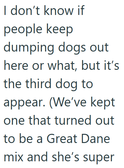 I don't know if people keep dumping dogs out here or what, but it's the third dog to appear. (We've kept one that turned out to be a Great Dane mix and she's super