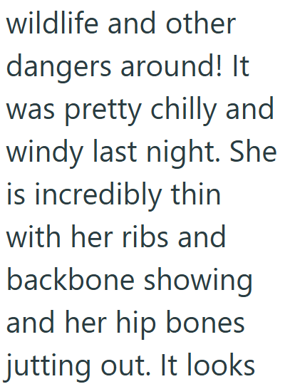wildlife and other dangers around! It was pretty chilly and windy last night. She is incredibly thin with her ribs and backbone showing and her hip bones jutting out. It looks