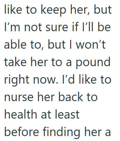 like to keep her, but I'm not sure if I'll be able to, but I won't take her to a pound right now. I'd like to nurse her back to health at least before finding her a