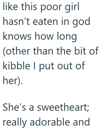 like this poor girl hasn't eaten in god knows how long (other than the bit of kibble I put out of her). She's a sweetheart; really adorable and