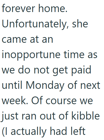 forever home. Unfortunately, she came at an inopportune time as we do not get paid until Monday of next week. Of course we just ran out of kibble (I actually had left