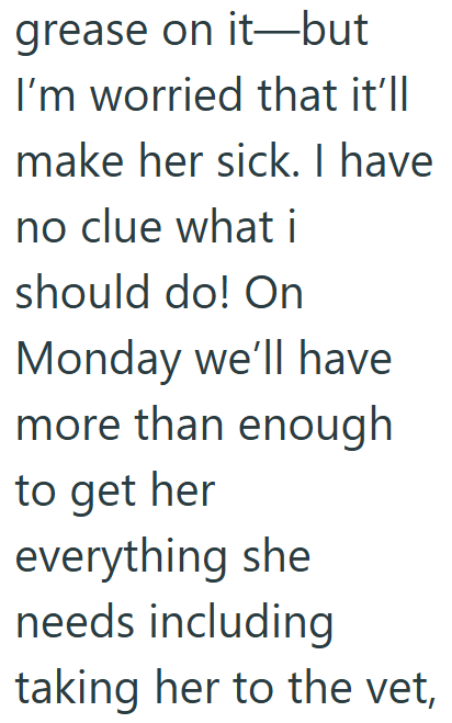 grease on it-but I'm worried that it'll make her sick. I have no clue what i should do! On Monday we'll have more than enough to get her everything she needs including taking her to the vet,